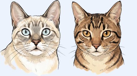 Retratos pintados de Kai, gato branco de olhos azuis, e Zen, gato rajado marrom, lado a lado